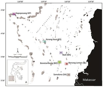 Contrasting Responses in the Niches of Two Coral Reef Herbivores Along a Gradient of Habitat Disturbance in the Spermonde Archipelago, Indonesia